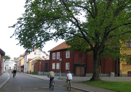 Onkel Adamsgrden